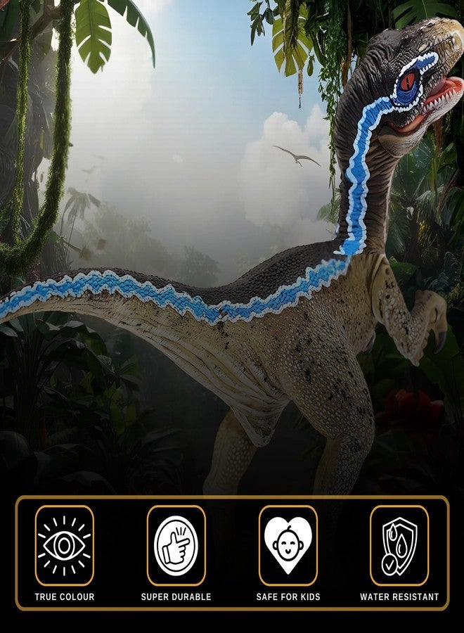 CRYA مجسم ديناصور فيلوسيرابتور لعبة، ألعاب ديناصورات فيلوسيرابتور كبيرة وواقعية للأطفال، لعبة ديناصور فيلوسيرابتور زرقاء للعب والعرض، ألعاب ديناصورات من العصر الجوراسي للأولاد والبنات (فيلوسيرابتور) - Image 3